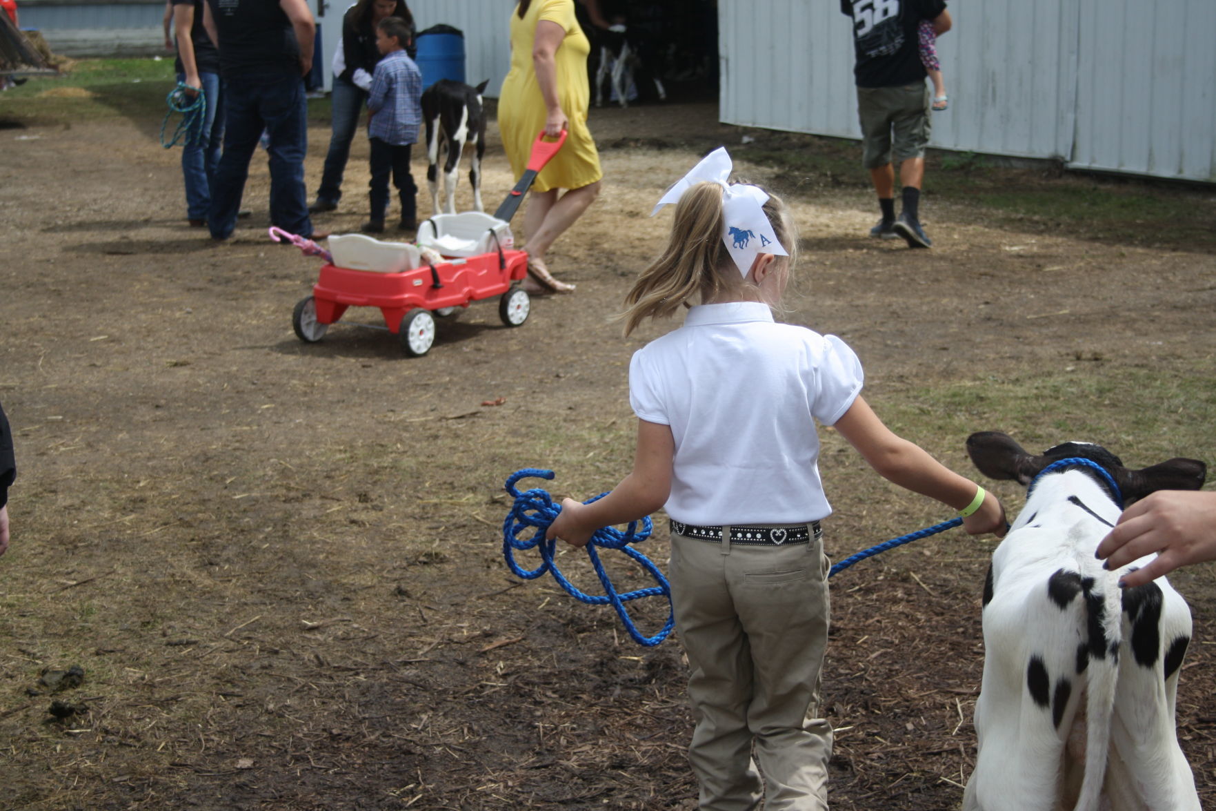 Sunday at the Dodge County Fair